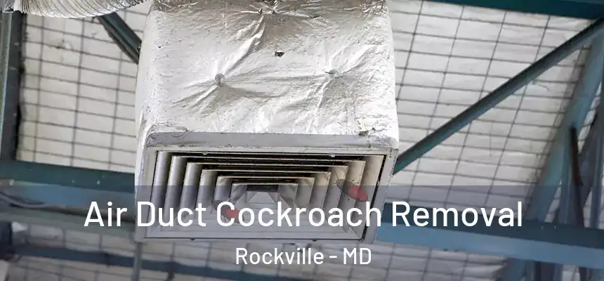  Air Duct Cockroach Removal Rockville - MD