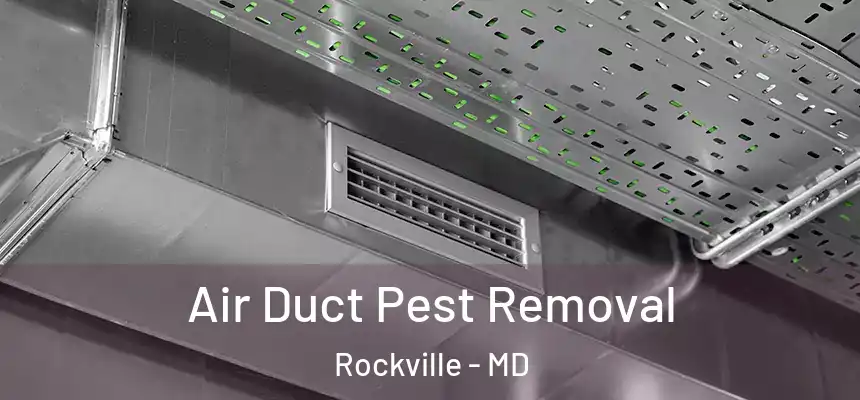  Air Duct Pest Removal Rockville - MD