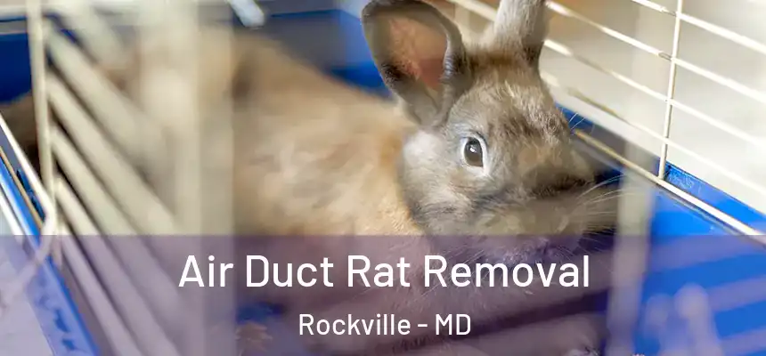  Air Duct Rat Removal Rockville - MD