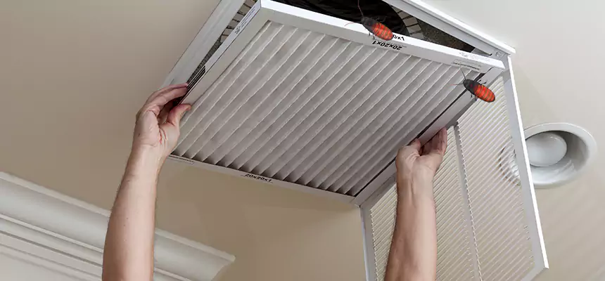 Our Insect Removal from Air Ducts Services in Rockville, MD
