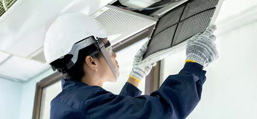 Our Mold & Mildew Removal from Air Ducts Services in Rockville, MD