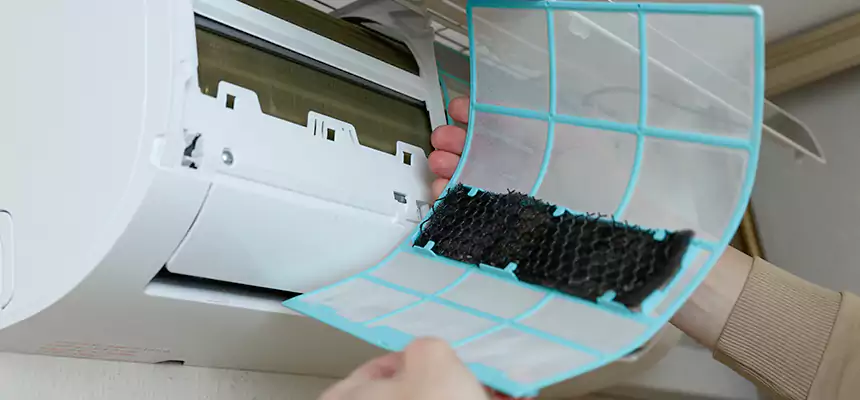 Gentle Ductwork Odor-Control Pet Dander Duct Cleaning in Rockville, MD