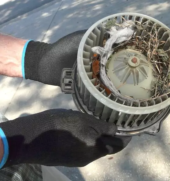 About Air Duct Mice Removal in Rockville, MD