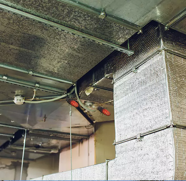 Why Homeowners & Businesses Trust Us in Rockville, MD?