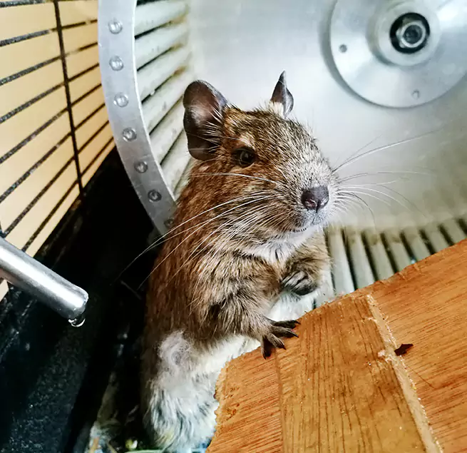 Why Homeowners & Businesses Trust Us Rockville, MD?