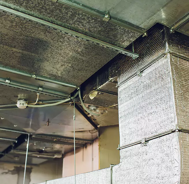 Why Homeowners & Businesses Trust Us in Rockville, MD?